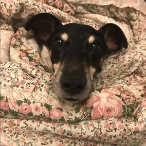 Meet your Posher, Shanie